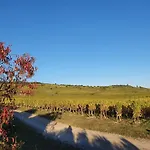 Au Lalli Holiday home
