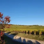 Au Lalli *
