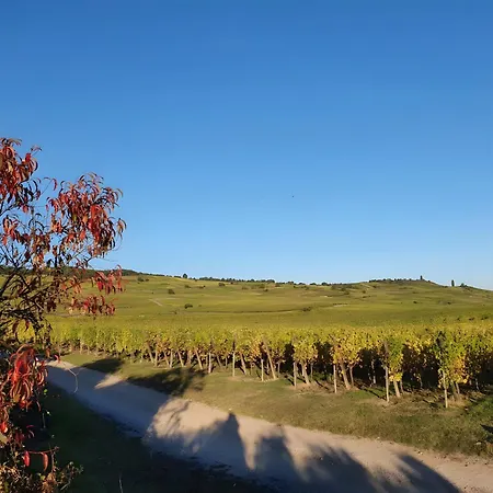 Au Lalli *